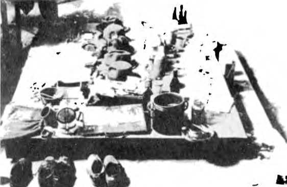 Райнхард Гейдрих — паладин Гитлера<br />(сборник) - i_061.jpg