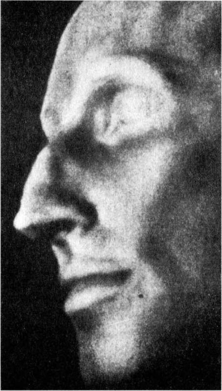 Райнхард Гейдрих — паладин Гитлера<br />(сборник) - i_065.jpg