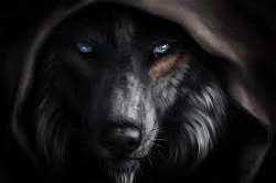 Читать онлайн книгу Поиграй со мной в мою игру. Я- охотник, Ты- жертва. (СИ) автор Donaco Brilajn Книга Поиграй со мной в мою игру. Я- охотник, Ты- жертва. (СИ)