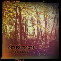 Читать онлайн книгу Одержимость (СИ) автор Книга Одержимость (СИ)