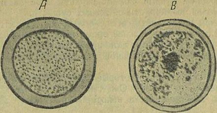 Следы на камне - i_037.jpg