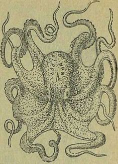 Следы на камне - i_040.jpg