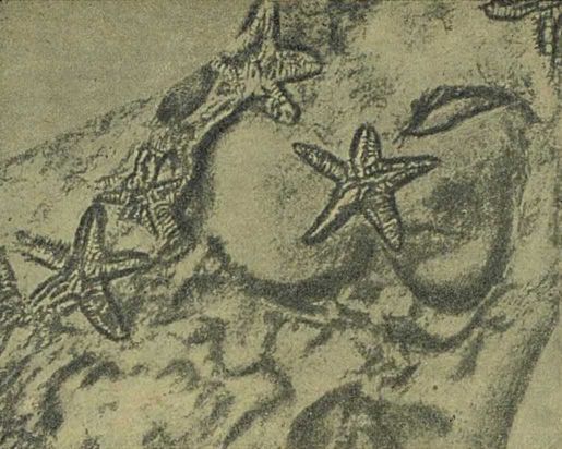 Следы на камне - i_042.jpg