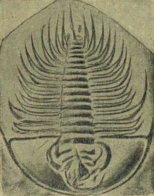 Следы на камне - i_043.jpg