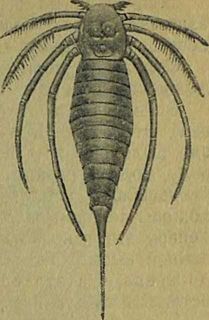 Следы на камне - i_046.jpg