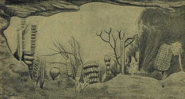 Следы на камне - i_053.jpg