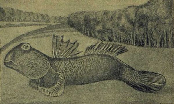 Следы на камне - i_059.jpg