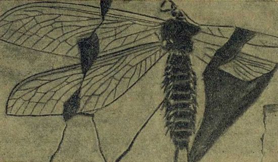 Следы на камне - i_060.jpg