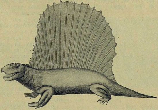 Следы на камне - i_071.jpg