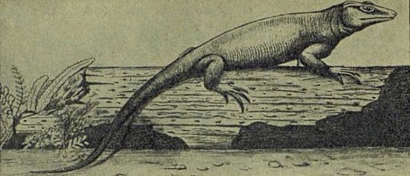 Следы на камне - i_072.jpg