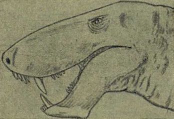 Следы на камне - i_073.jpg