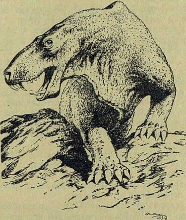 Следы на камне - i_074.jpg