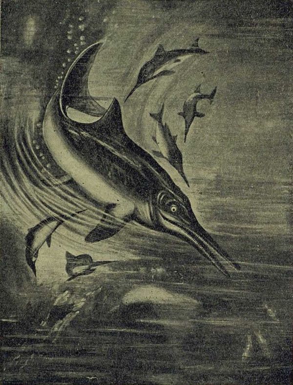 Следы на камне - i_077.jpg