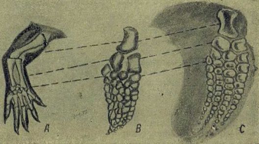 Следы на камне - i_085.jpg