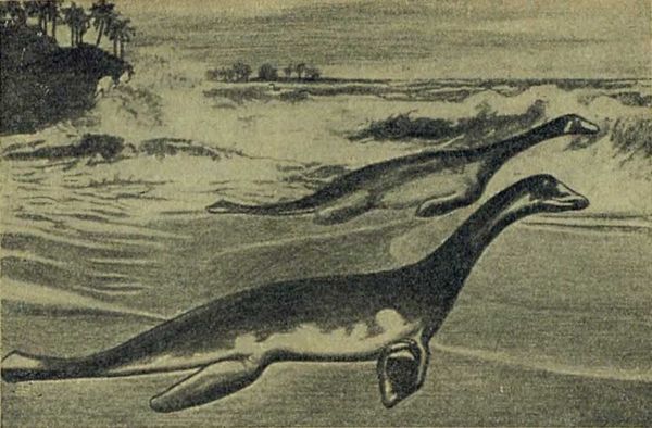 Следы на камне - i_089.jpg