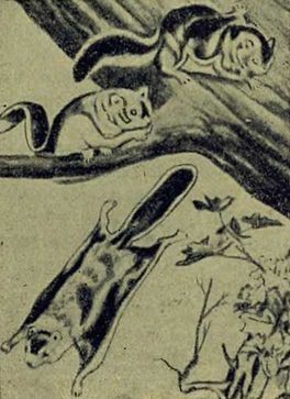 Следы на камне - i_090.jpg