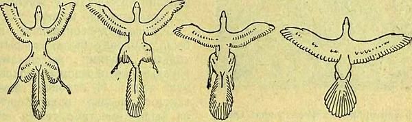 Следы на камне - i_097.jpg