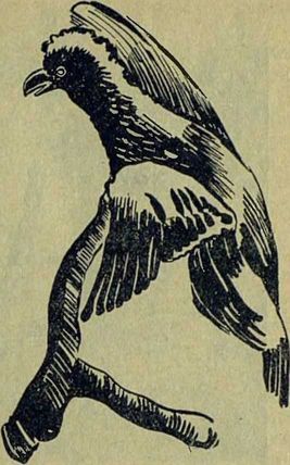 Следы на камне - i_099.jpg