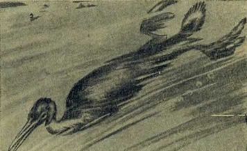 Следы на камне - i_100.jpg