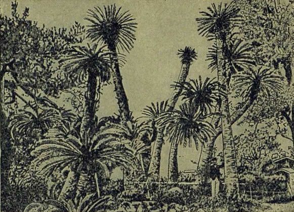 Следы на камне - i_101.jpg