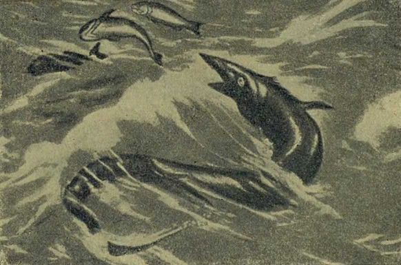 Следы на камне - i_102.jpg