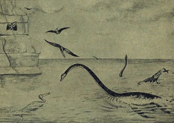 Следы на камне - i_103.jpg