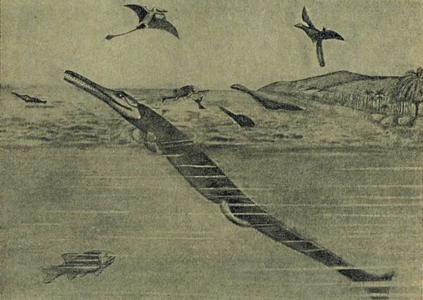 Следы на камне - i_104.jpg