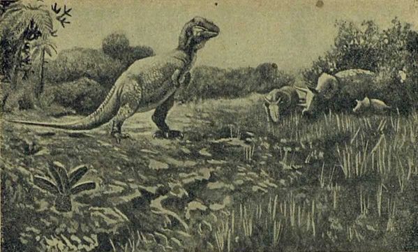 Следы на камне - i_106.jpg