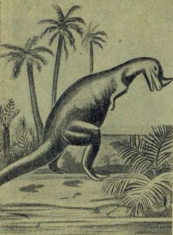 Следы на камне - i_107.jpg