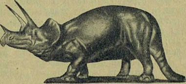 Следы на камне - i_108.jpg