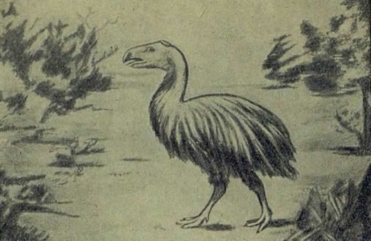 Следы на камне - i_130.jpg