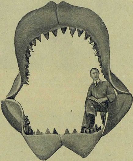 Следы на камне - i_131.jpg