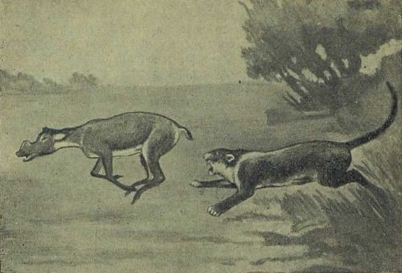 Следы на камне - i_132.jpg