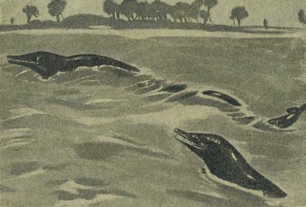 Следы на камне - i_133.jpg