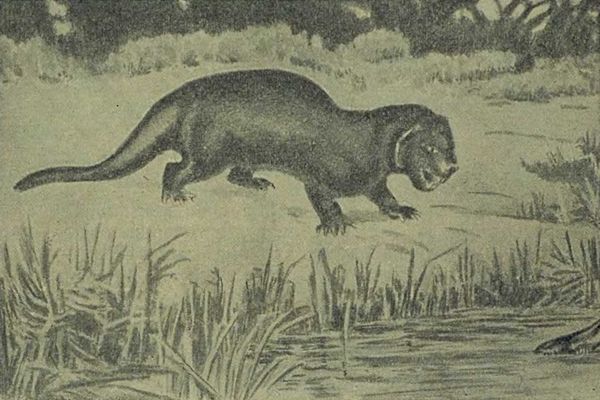 Следы на камне - i_134.jpg