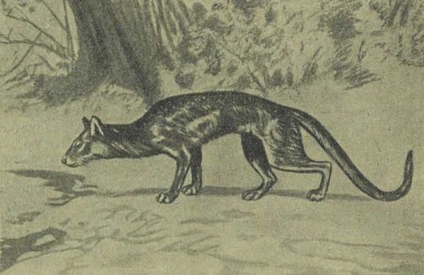 Следы на камне - i_136.jpg