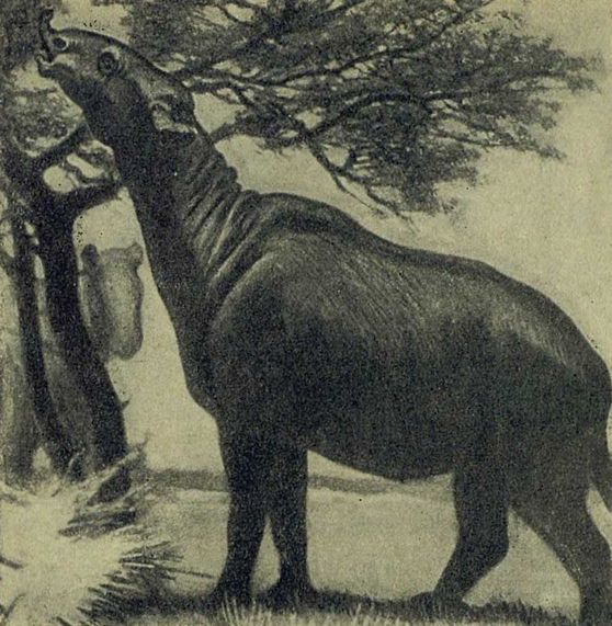 Следы на камне - i_137.jpg