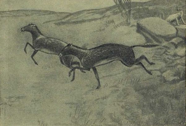 Следы на камне - i_145.jpg