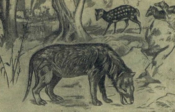 Следы на камне - i_156.jpg