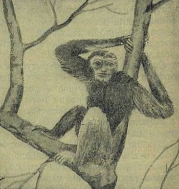 Следы на камне - i_160.jpg