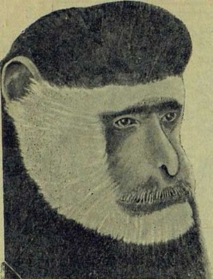 Следы на камне - i_162.jpg