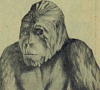 Следы на камне - i_163.jpg