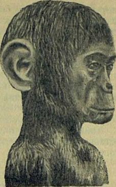 Следы на камне - i_164.jpg