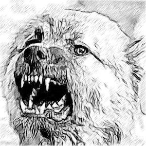 Посланники тени (СИ) - _12.jpg