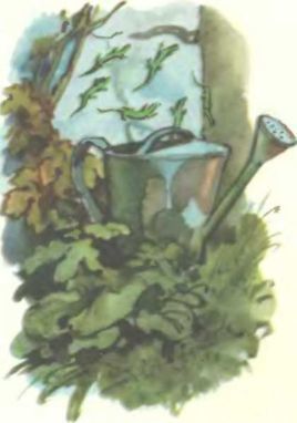 Волшебные сказки<br />(Илл. В. Дехтерев) - i_030.jpg