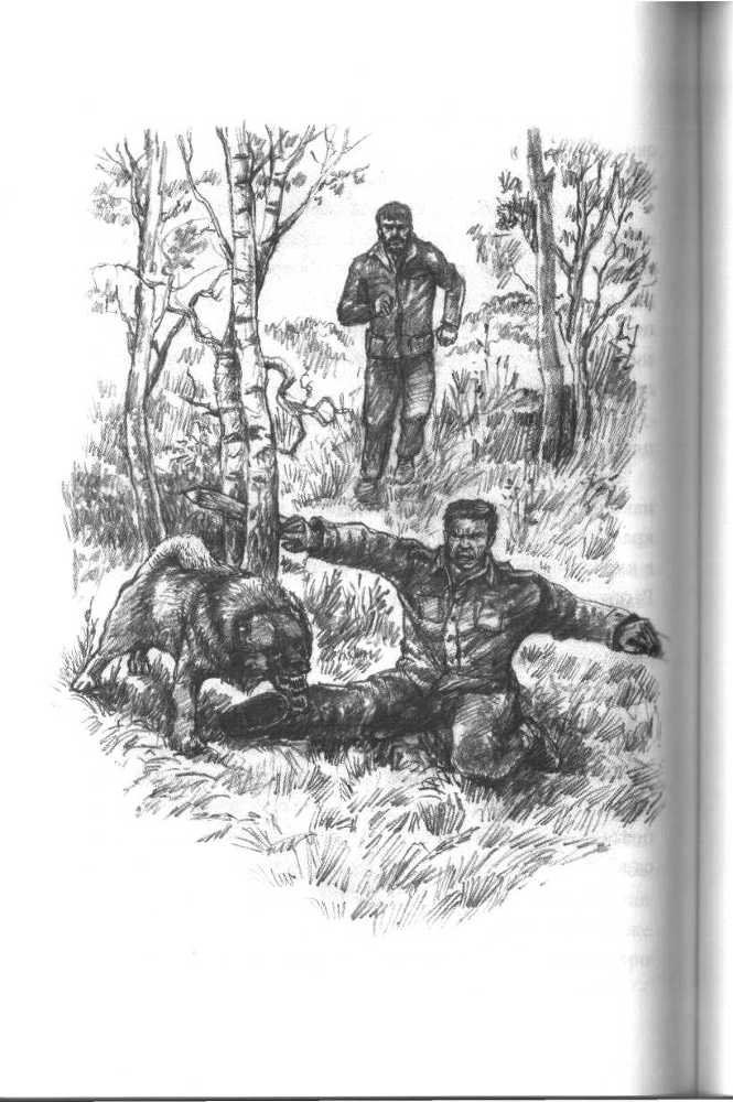 Запах цветущего кедра - image16.jpg