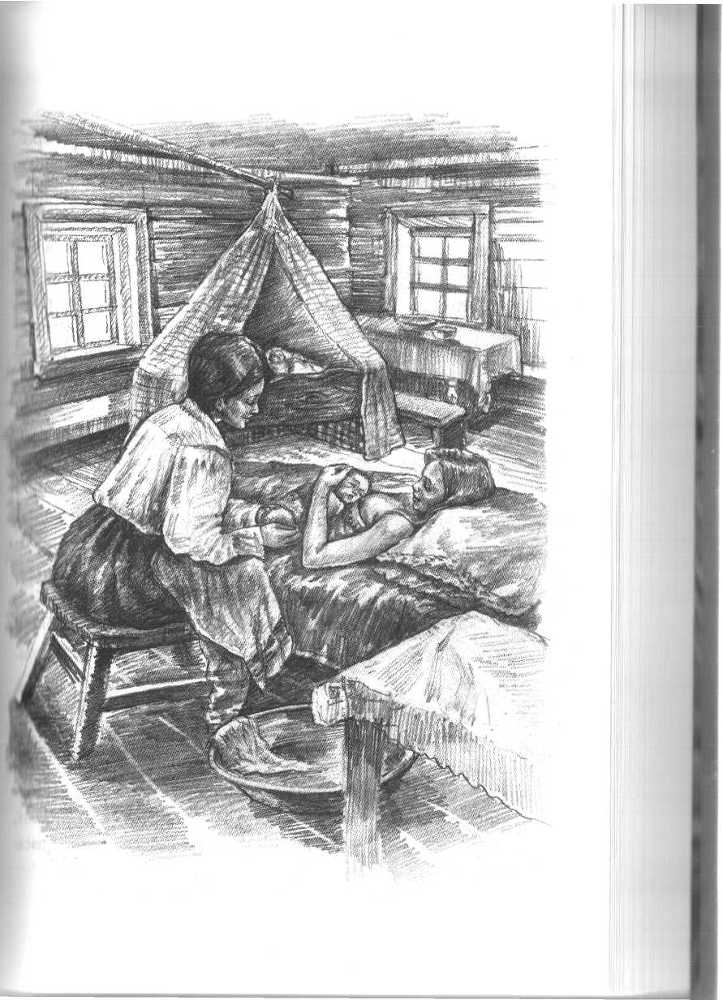 Запах цветущего кедра - image8.jpg