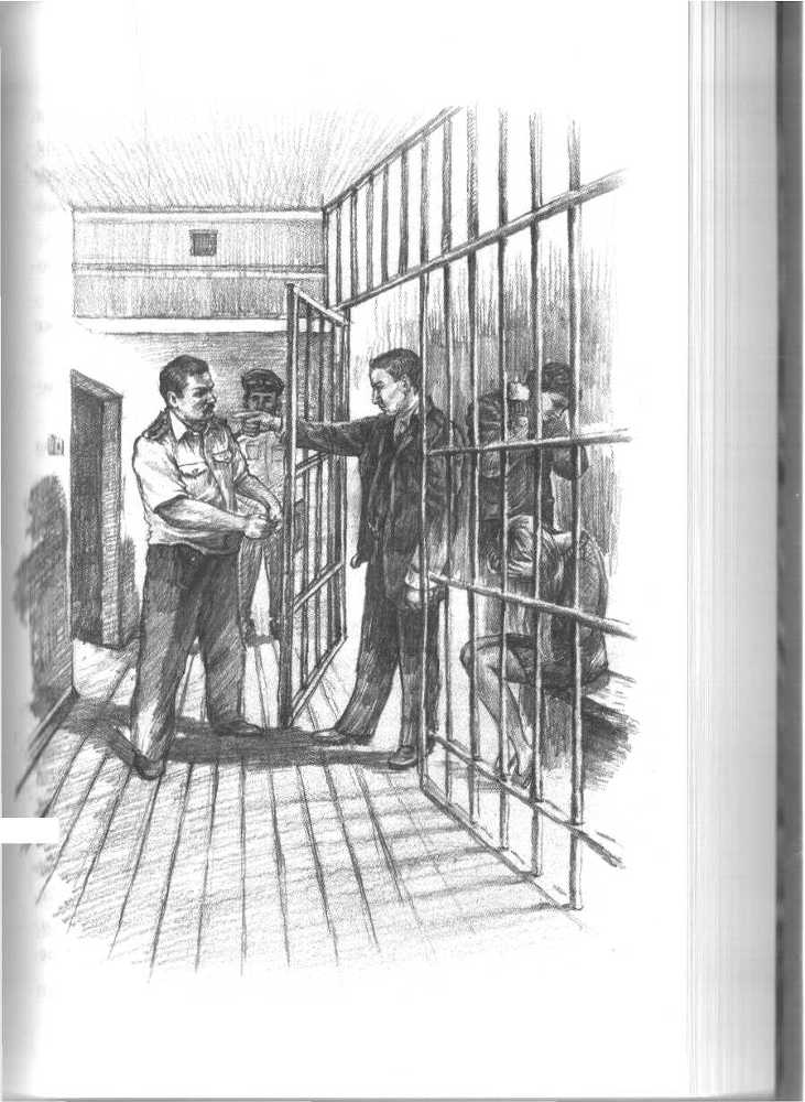 Запах цветущего кедра - image9.jpg