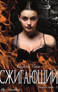 Книга Сжигающий (ЛП)