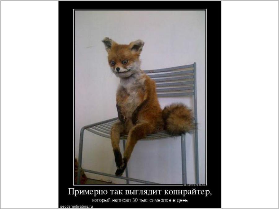 SEO для бизнеса - _27.jpg
